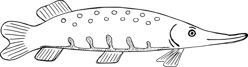 snoek logo