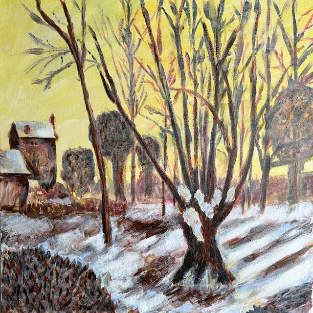 sneeuwlandschap