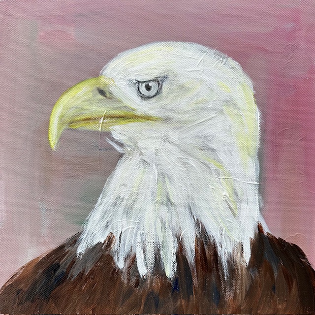 bald eagle