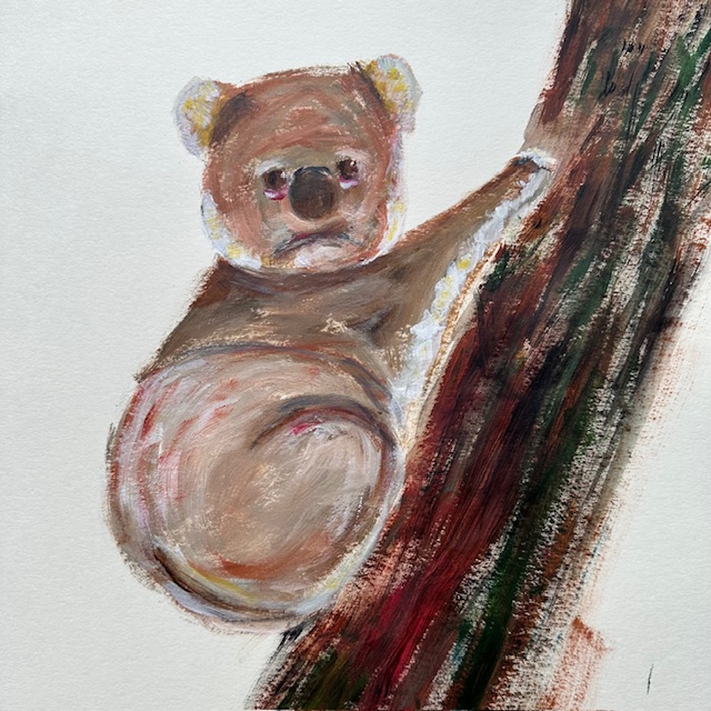 koala