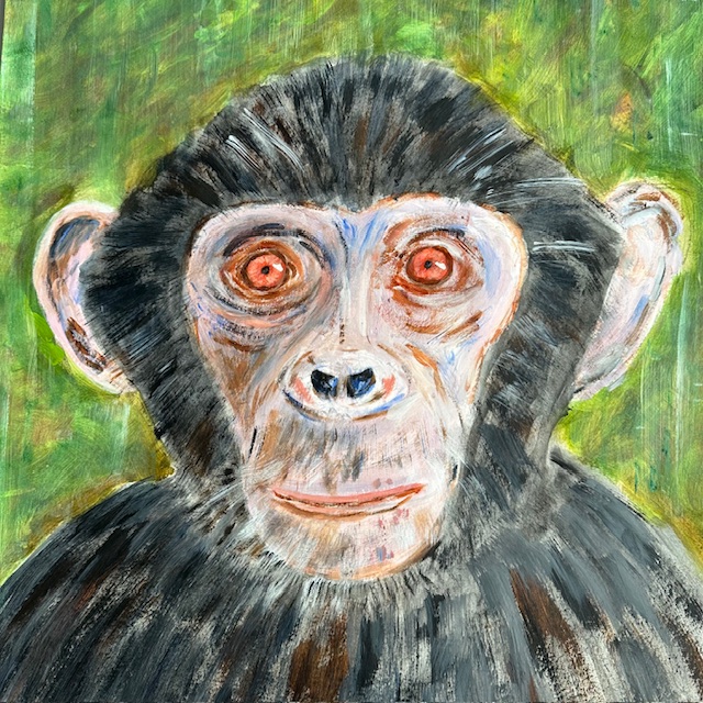 chimpansee